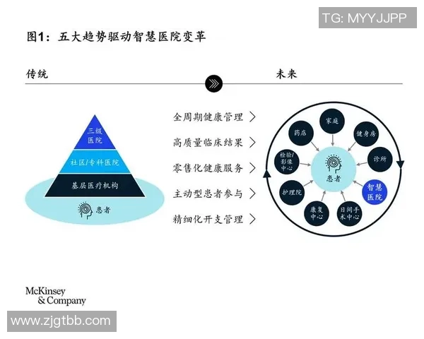上海羽毛球队状态深度对比分析及未来发展趋势探讨 上海羽毛球队状态深度对比分析及未来发展趋势探讨