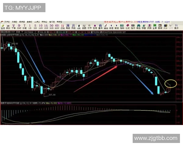 南京网球队在欧锦赛中的技术表现分析与点评 南京网球队在欧锦赛中的技术表现分析与点评