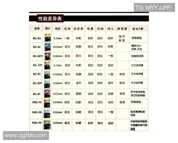 南京羽毛球队引领最新羽毛球技术十强榜单解析与展望